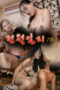 Everyones Journal Episode 7-Seonglobi Site in Rural Village