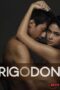 Rigodon