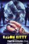 Streaming Salon Kitty